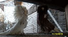 SAM_0339