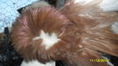 SAM_0341