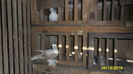 SAM_0174