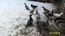 SAM_0080