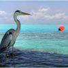 105896_0a9201cba4a3b0ffaec3f10bcc77889c_mdsq
