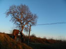 DSCN6625