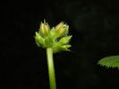 DSCN6767