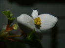 DSCN6777