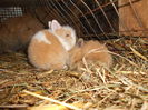 DSCN0085