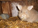 DSCN0086