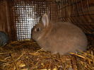 DSCN0087