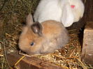 DSCN0090