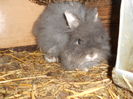 DSCN0097