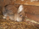 DSCN0098