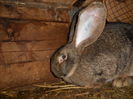 DSCN0109