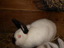 DSCN0124