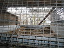 DSCN0133