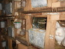 DSCN0135