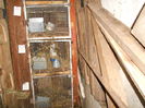 DSCN0138
