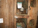 DSCN0139