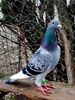 IMG_20141216_124726-002
