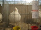 DSCF6519