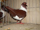 DSCN0076
