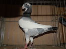 DSCN0077