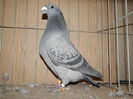 DSCN0087