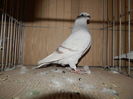 DSCN0088