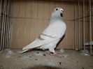 DSCN0089