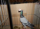 DSCN0092