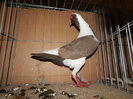 DSCN0094