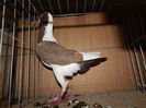 DSCN0095