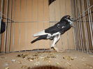 DSCN0096