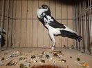 DSCN0097