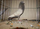 DSCN0103