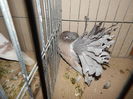 DSCN0104