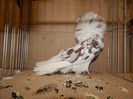 DSCN0106