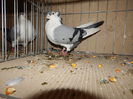 DSCN0115