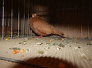 DSCN0137