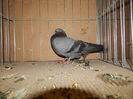 DSCN0151