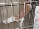 expo 075