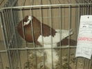 expo 079