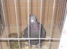 expo 083