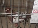 expo 089