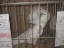 expo 094