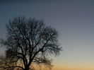 DSCN6727
