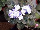 Copy of DSCN0841