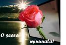 o-seara-minunata_2fd792c59a8df4