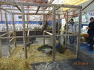 DSC00606