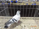 DSC00671