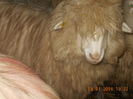 Picture 023