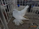 DSC00824